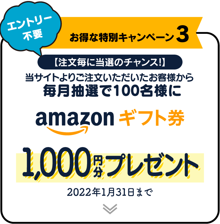 ピザポケット公式注文サイト オープン記念キャンペーン