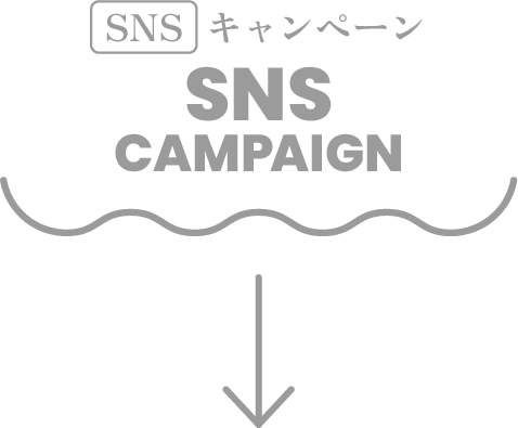 SNSキャンペーンへ