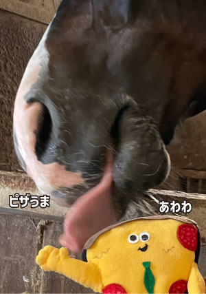 食べられそうなポッケ